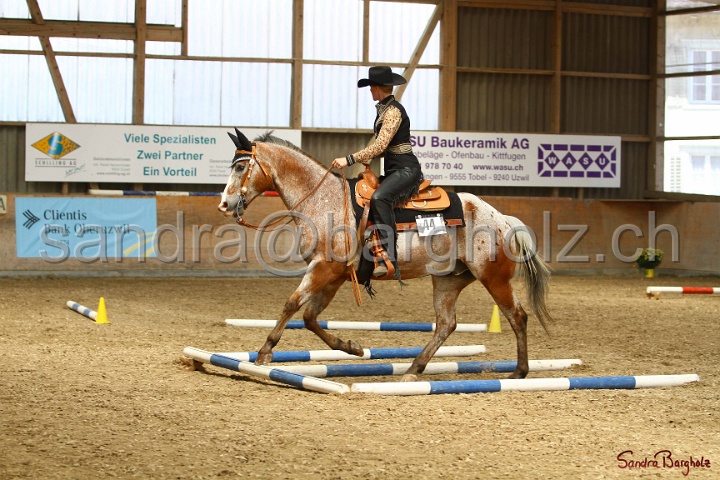 28-ApHC OT_215.jpg